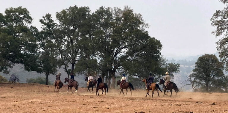Bauhr Ranch riders